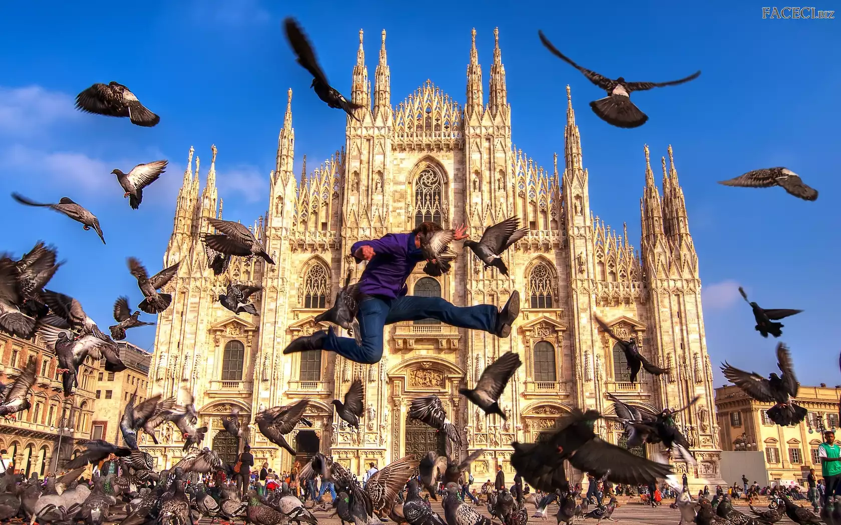 Gołębie, Katedra, Mężczyzna