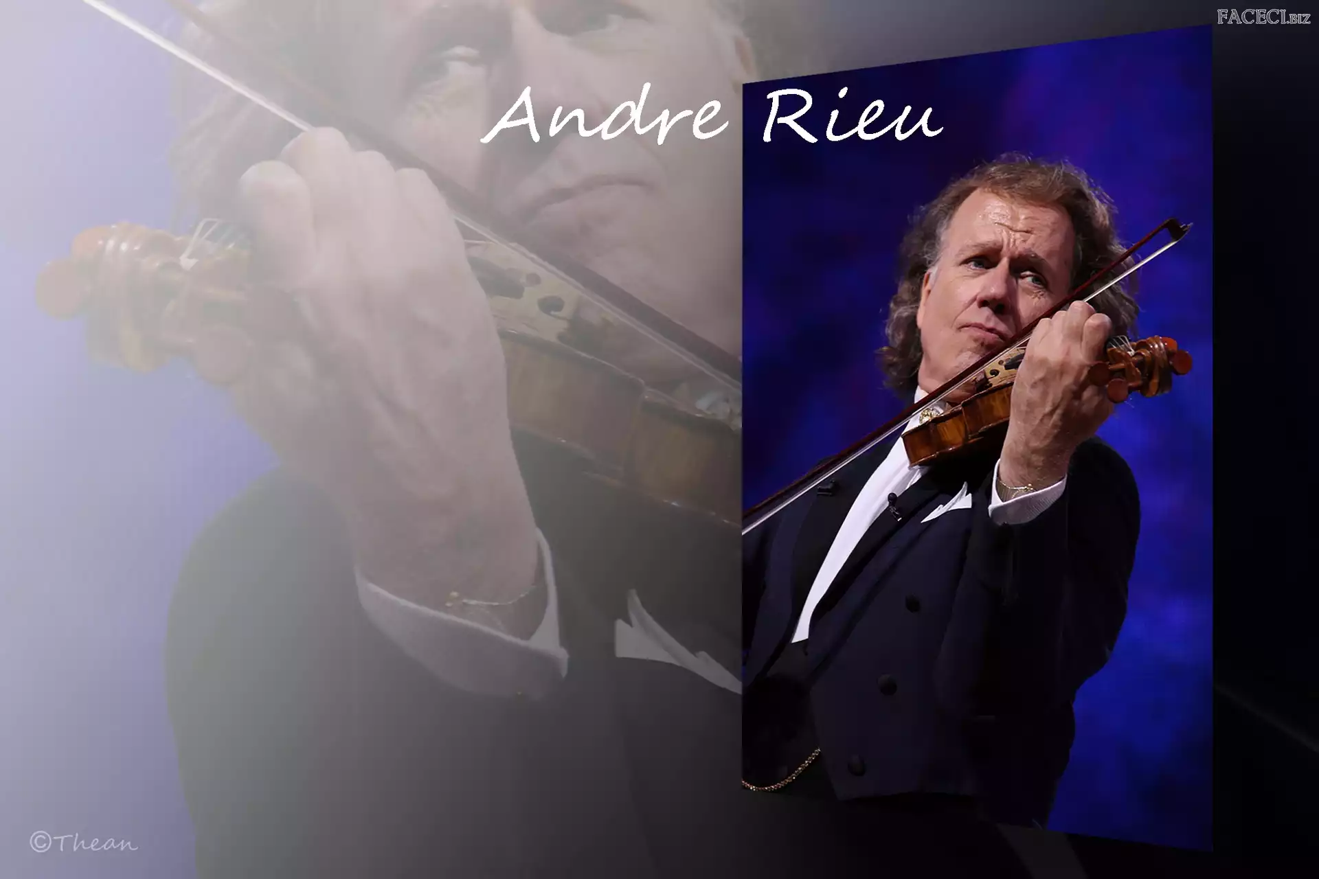 Skrzypek, Skrzypce, Andre Rieu, Johan Strauss Orkiestra